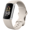 Fitbit FITBIT Charge 6 Silver Aluminum Case