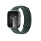 Dux Ducis Dux Ducis Apple Watch (38/40/41mm) Armband BL Magnetic - Grön