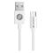 Champion CHAMPION USB-C till USB-A kabel 2m - Vit