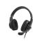 Hama Hama Headset PC Office Stereo Over-Ear HS-P350 V2 - Svart