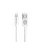 Champion Champion USB-A till Lightning Kabel 2m Vit