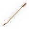 Tech-Protect Tech-Protect Charm Stylus Penna - Champagne/Guld