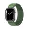 OEM Apple Watch 4/5/6/7/8/SE (38/40/41mm) Armband Alpine - Grön