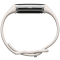 Fitbit FITBIT Charge 6 Silver Aluminum Case