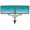 BUFFALO Desire2 Monitor Arm Duo Aluminium Gas