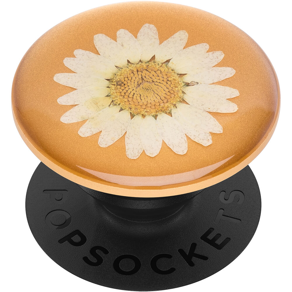 PopSockets POPSOCKETS Pressed Flower White Daisy Avtagbart Grip