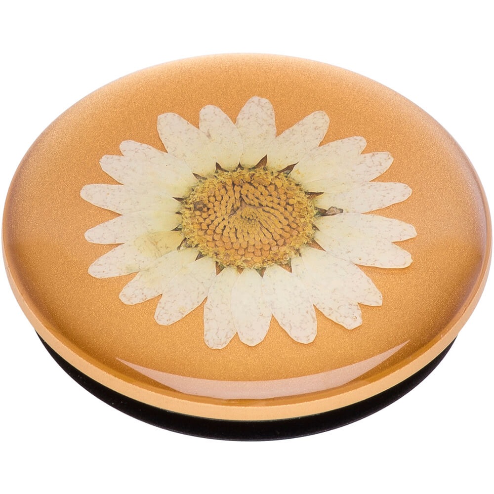 PopSockets POPSOCKETS Pressed Flower White Daisy Avtagbart Grip