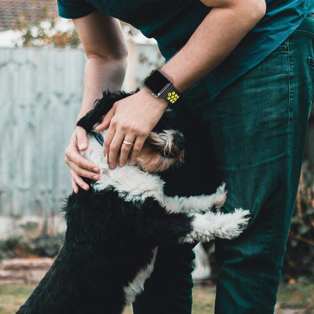 Tech-Protect Tech-Protect Softband Apple Watch 4/5/6/7/8/SE/Ultra (42/44/45/49mm) Svart/Grå