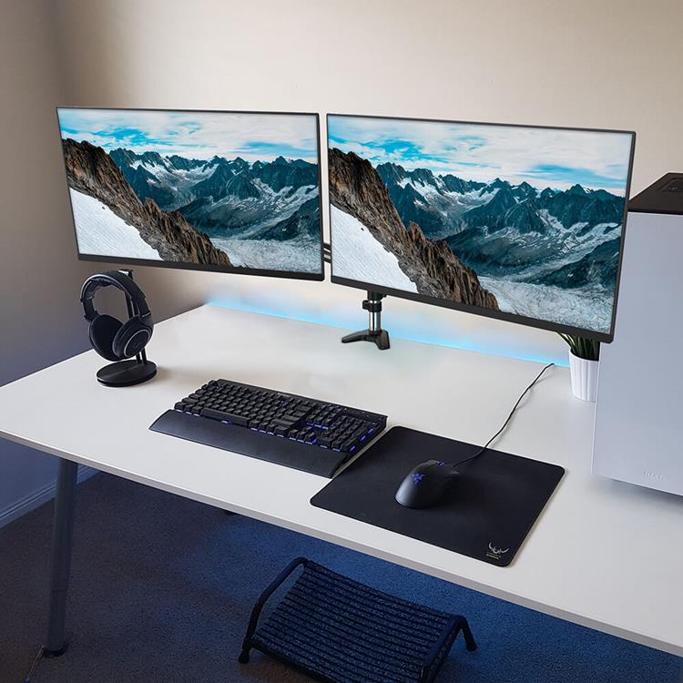 BUFFALO Desire2 Monitor Arm Duo Aluminium Gas