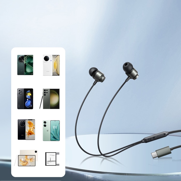 Joyroom Joyroom In-Ear Hörlurar USB-C - Grå
