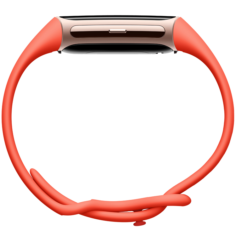 Fitbit FITBIT Charge 6 Champagne Gold Aluminum Case