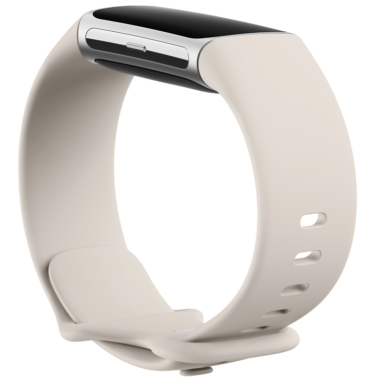 Fitbit FITBIT Charge 6 Silver Aluminum Case