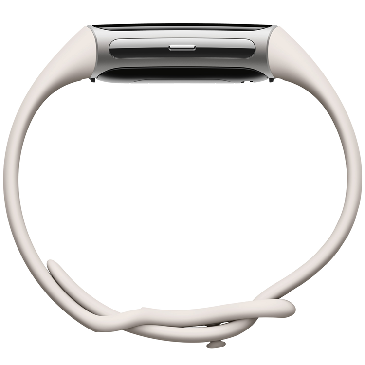 Fitbit FITBIT Charge 6 Silver Aluminum Case
